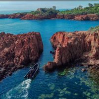 Boat Tours