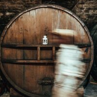 Holiday & Seasonal Tours