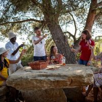 Full-day Tours