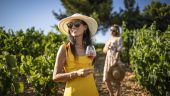 Amazing Provence Tour!