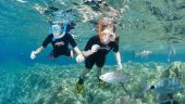Nice eevaring for snorkeling