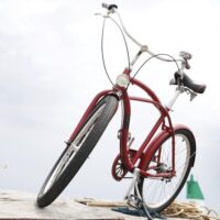 Bike Rentals